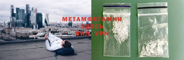 индика Инта