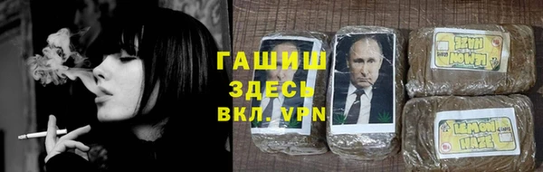 гидра Зеленодольск