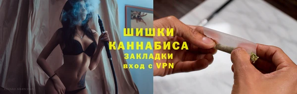 гидра Зеленодольск