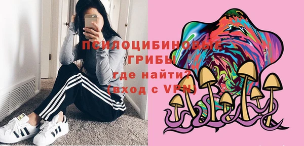 гидра Зеленодольск